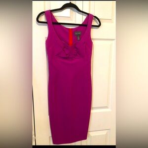 Zac Posen Form Fitting Dress- New With Tags!!!